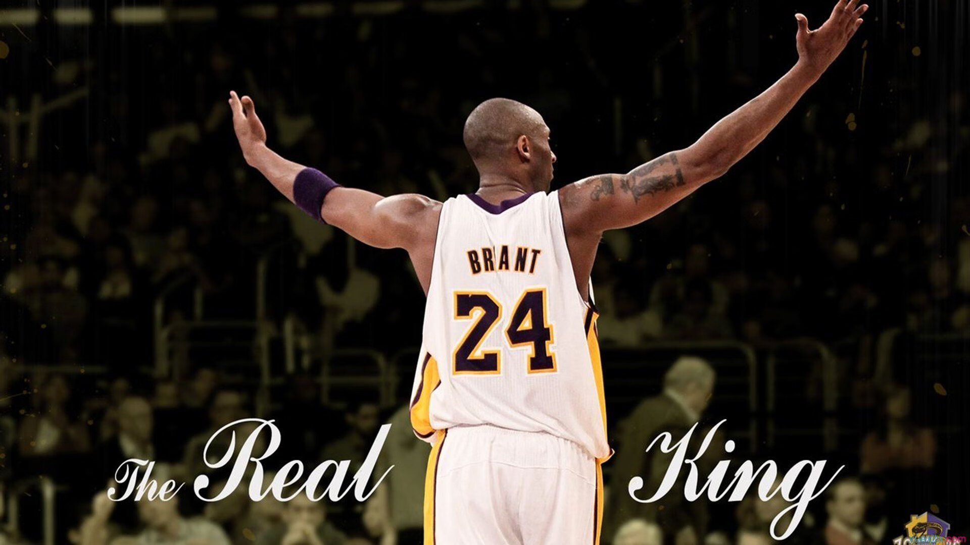 山西龙狮提升球权分配效率降低失误率,龙狮球员